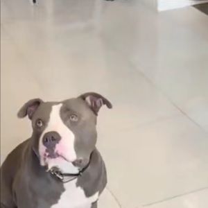 Meet your Posher, Sean